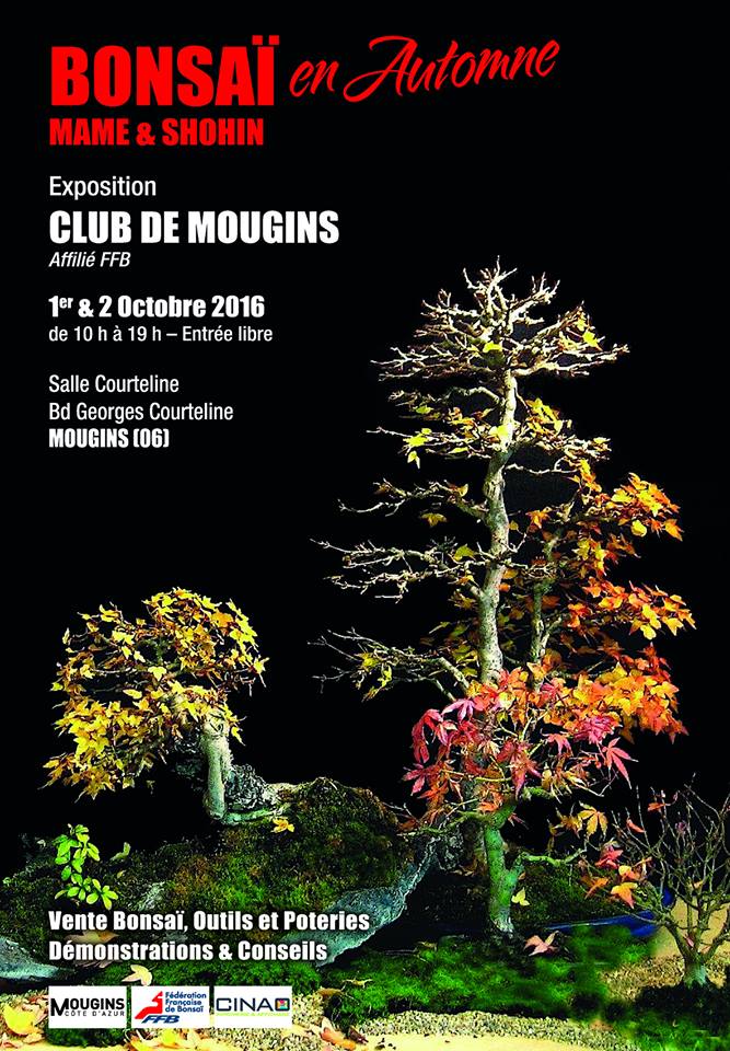 Lotus Bonsai Studio France